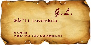 Gáli Levendula névjegykártya